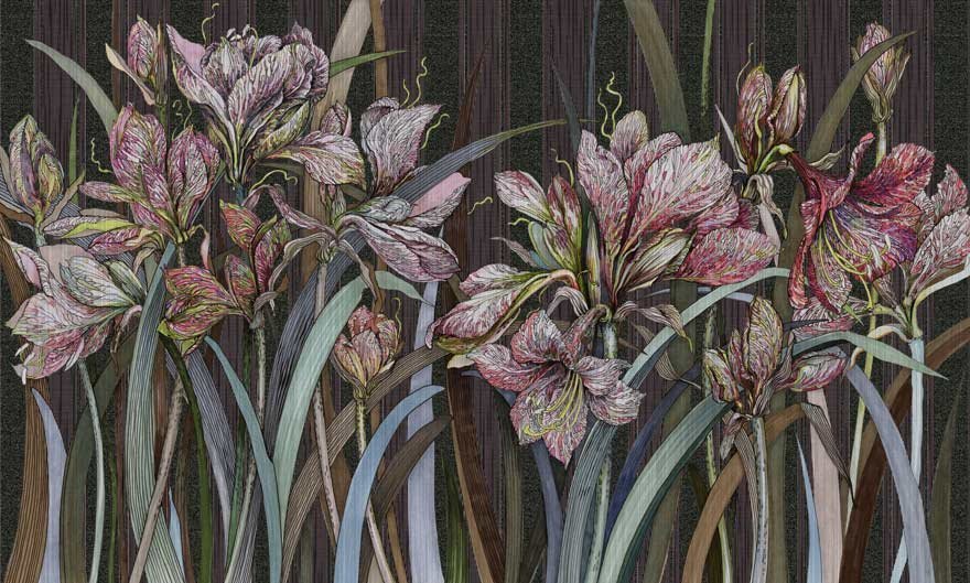 Amaryllis 06