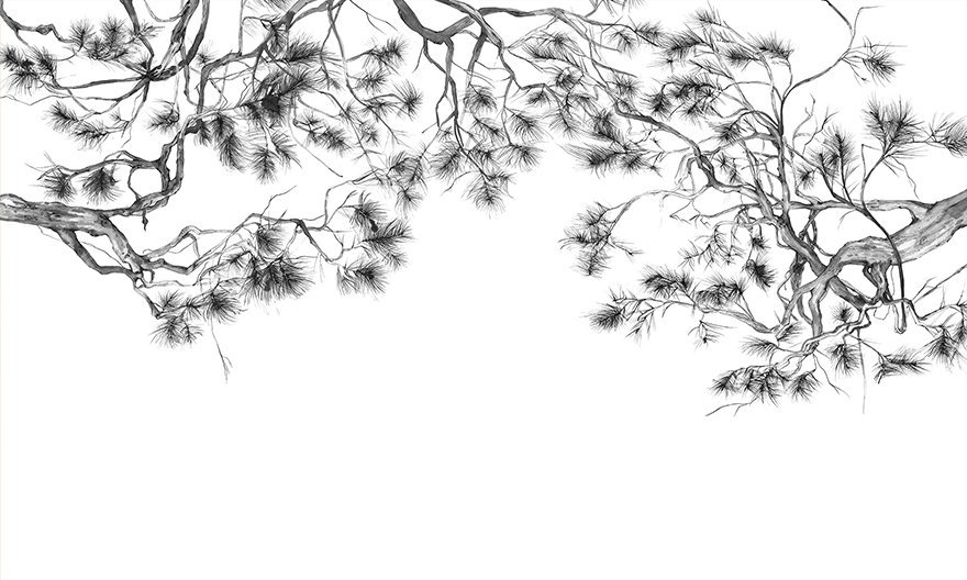 Arbor 01