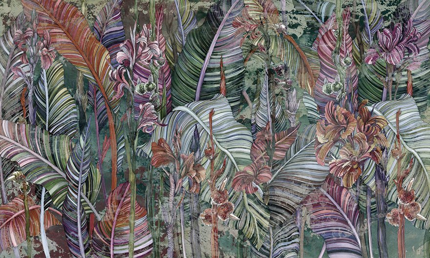 Canna 07