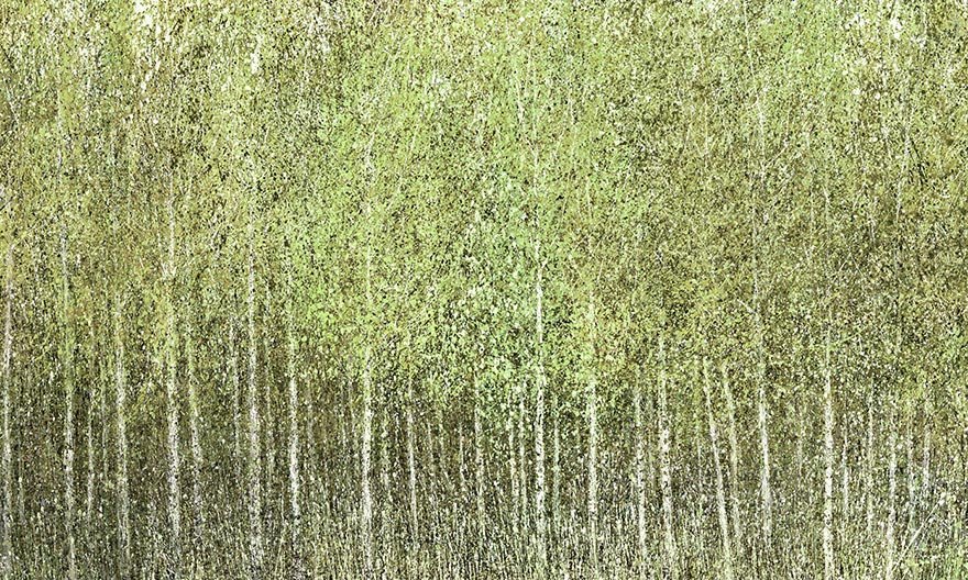 Euporie 04