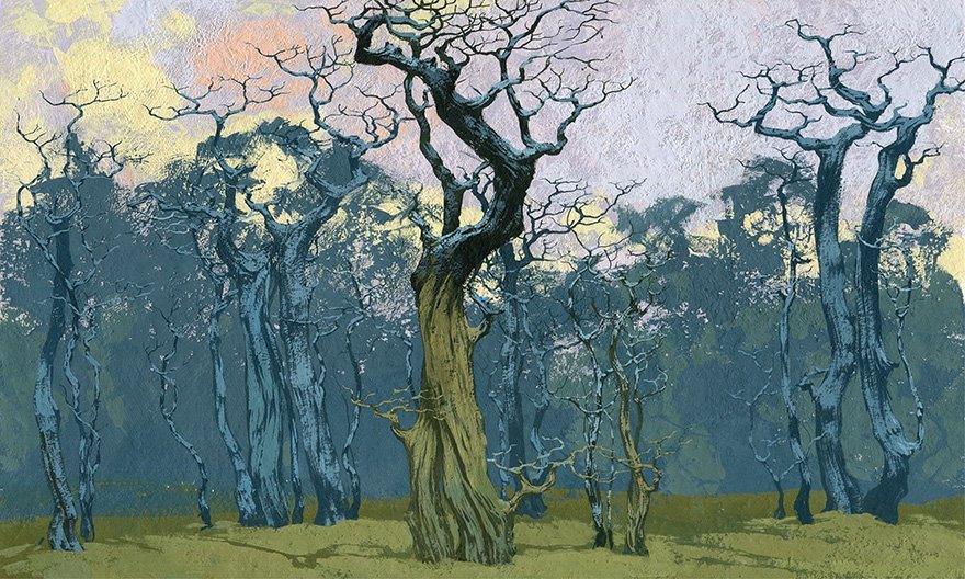 Fangorn 03