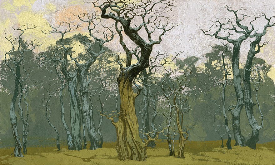 Fangorn 08