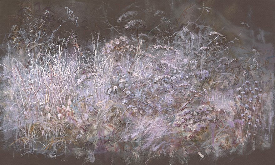 Feronia 07