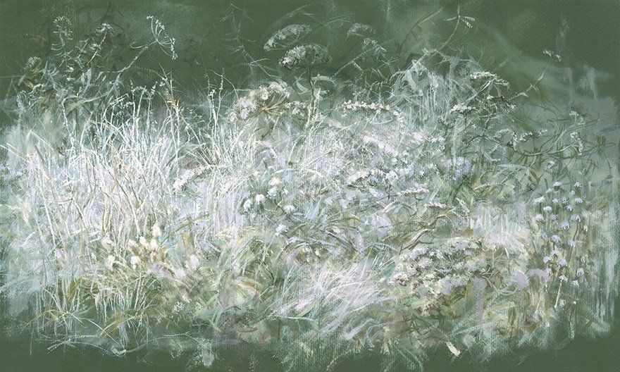 Feronia 08