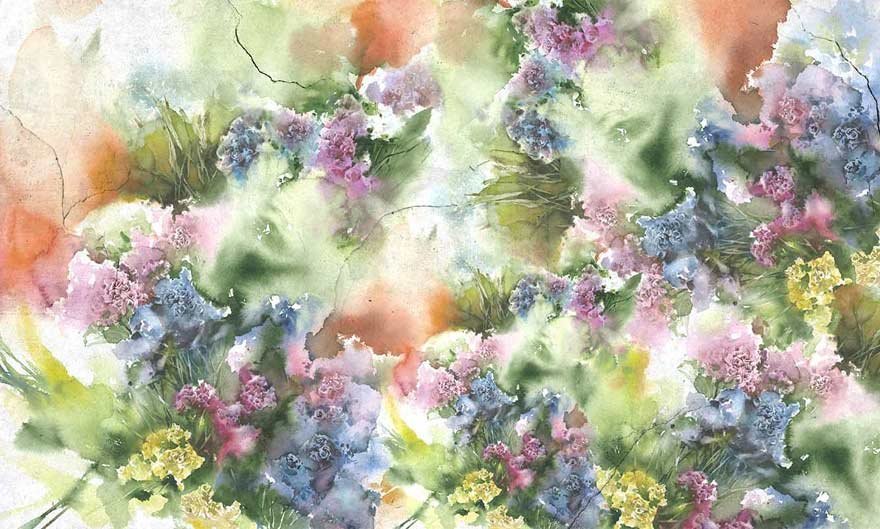 Limonium 05