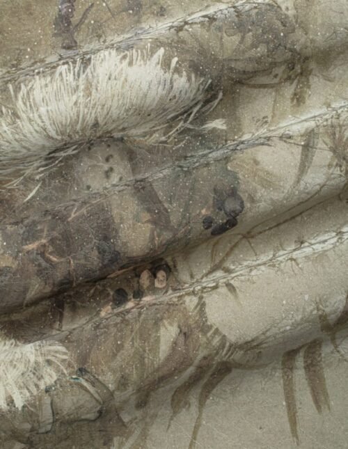 Papier peint Madlen personnalisable 500x300 cm, fabrication 10 jours