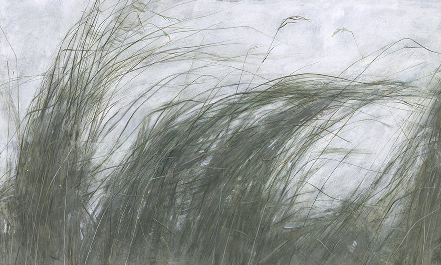 Mist 00