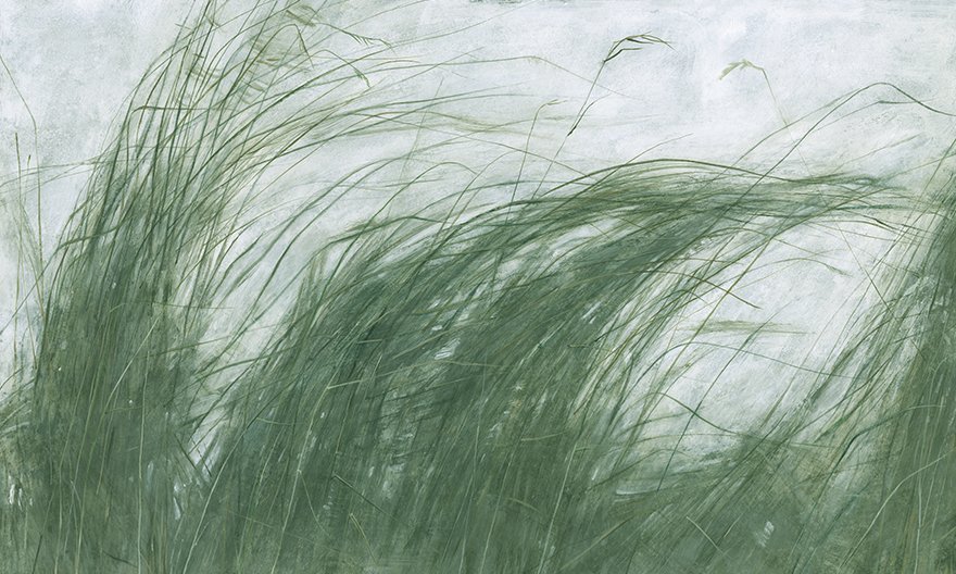 Mist 08
