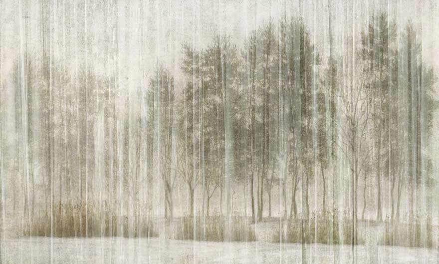 Sherwood 06