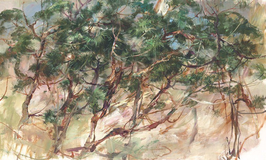 Taria 00