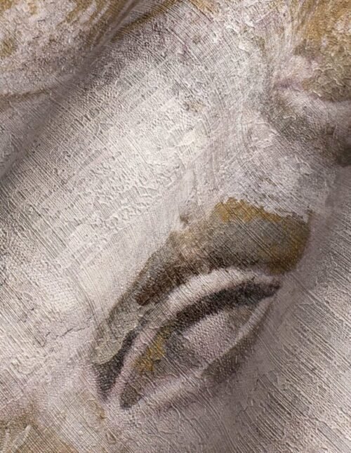 Papier peint Venus personnalisable 500x300 cm, fabrication sur mesure