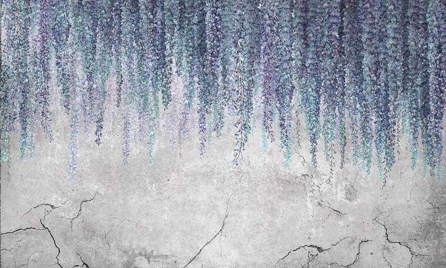 Wisteria 01
