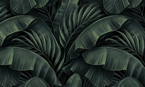 Papier peint Exotic Elegance 2 noir et vert avec motifs végétaux