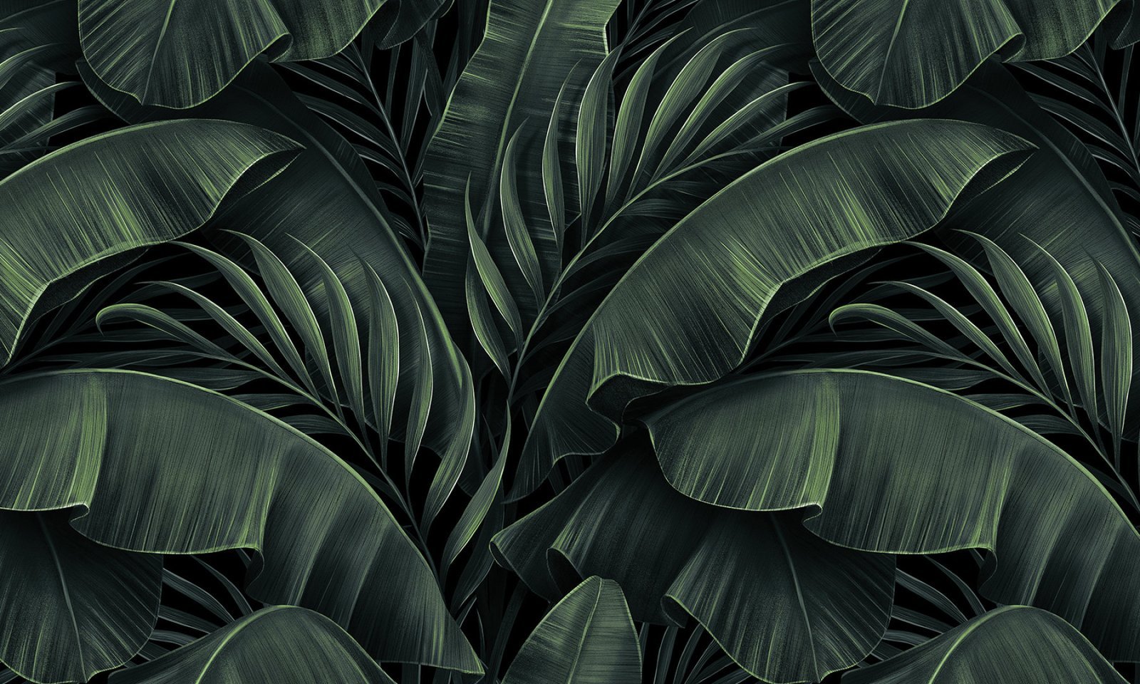 Papier peint Exotic elegance 2