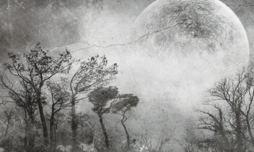Papier peint Moonlight gris noir et blanc tendance