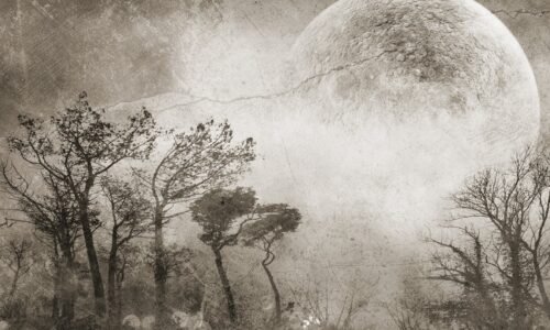 Papier peint Moonlight 2 noir pour mur propre et préparé