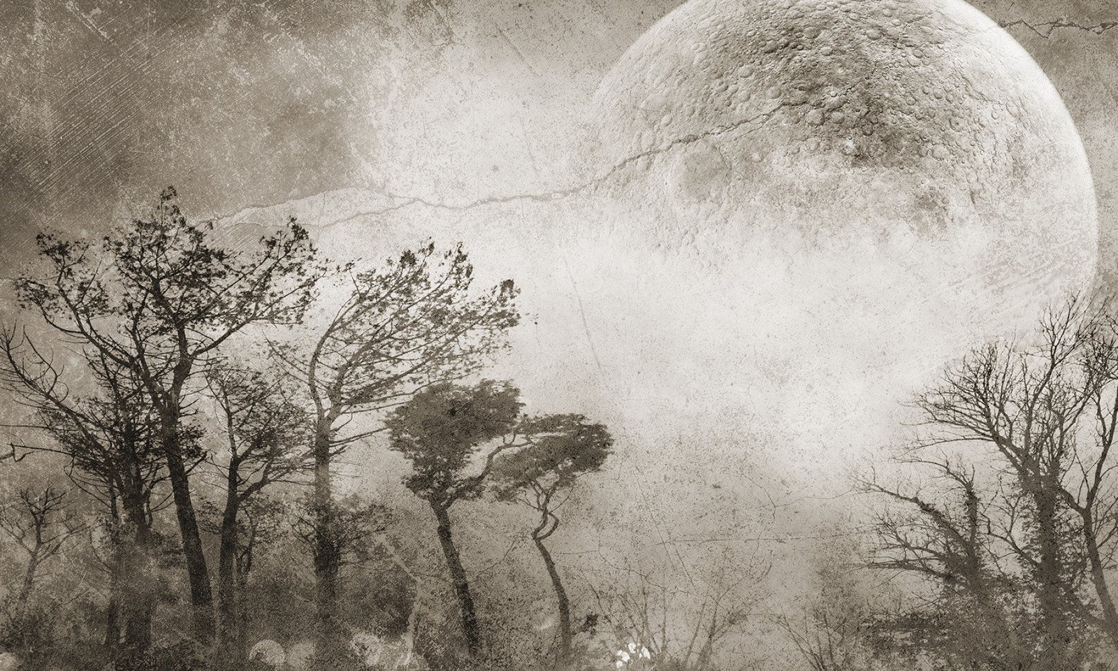 Papier peint Moonlight 2