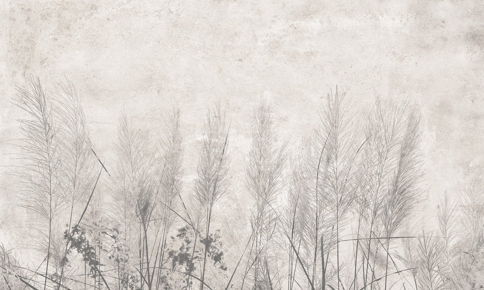 Papier peint Morning mist