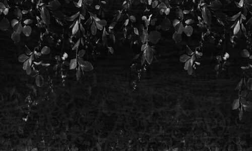 Papier peint Hanging Leaves noir et blanc avec motifs de feuilles suspendues
