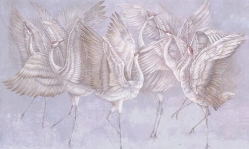Papier peint Winged Serenity 3 rose et multicolore pour mur