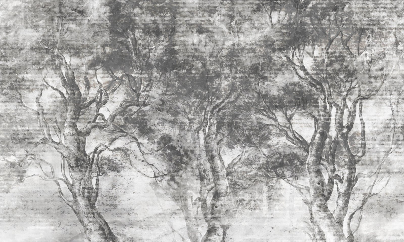 Papier peint Forest escape 2
