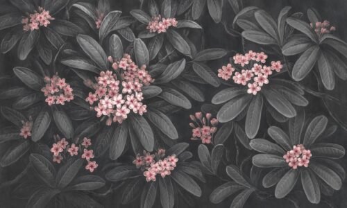 Papier peint Frangipani 2 gris, rose et multicolore