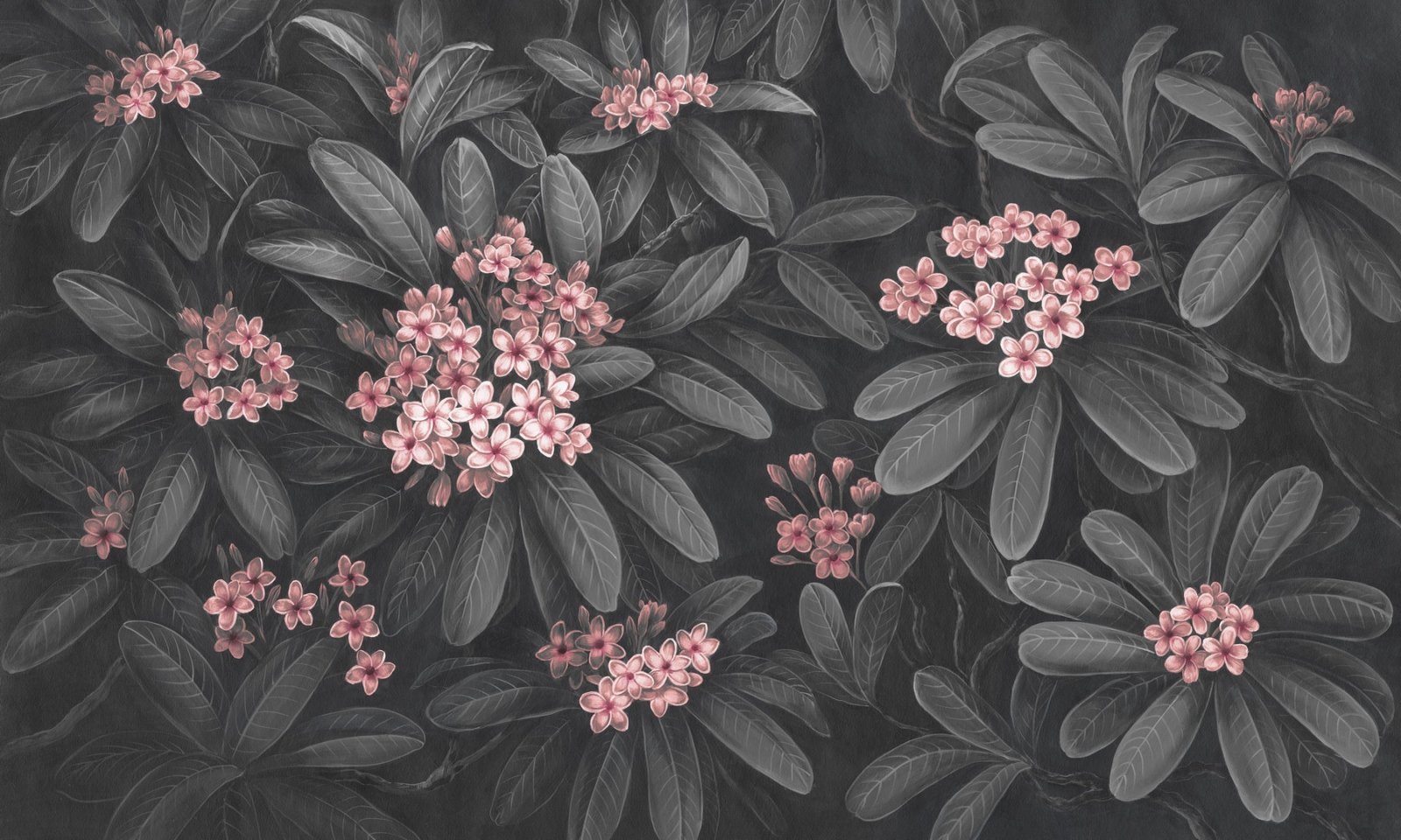 Papier peint Frangipani 2