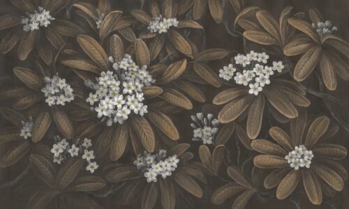 Papier peint Frangipani 3 brun avec motif floral tropical