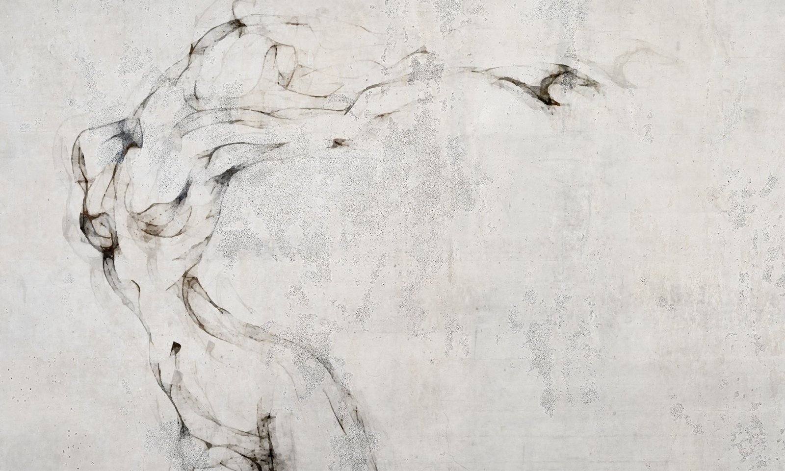 Papier peint Concrete nudes