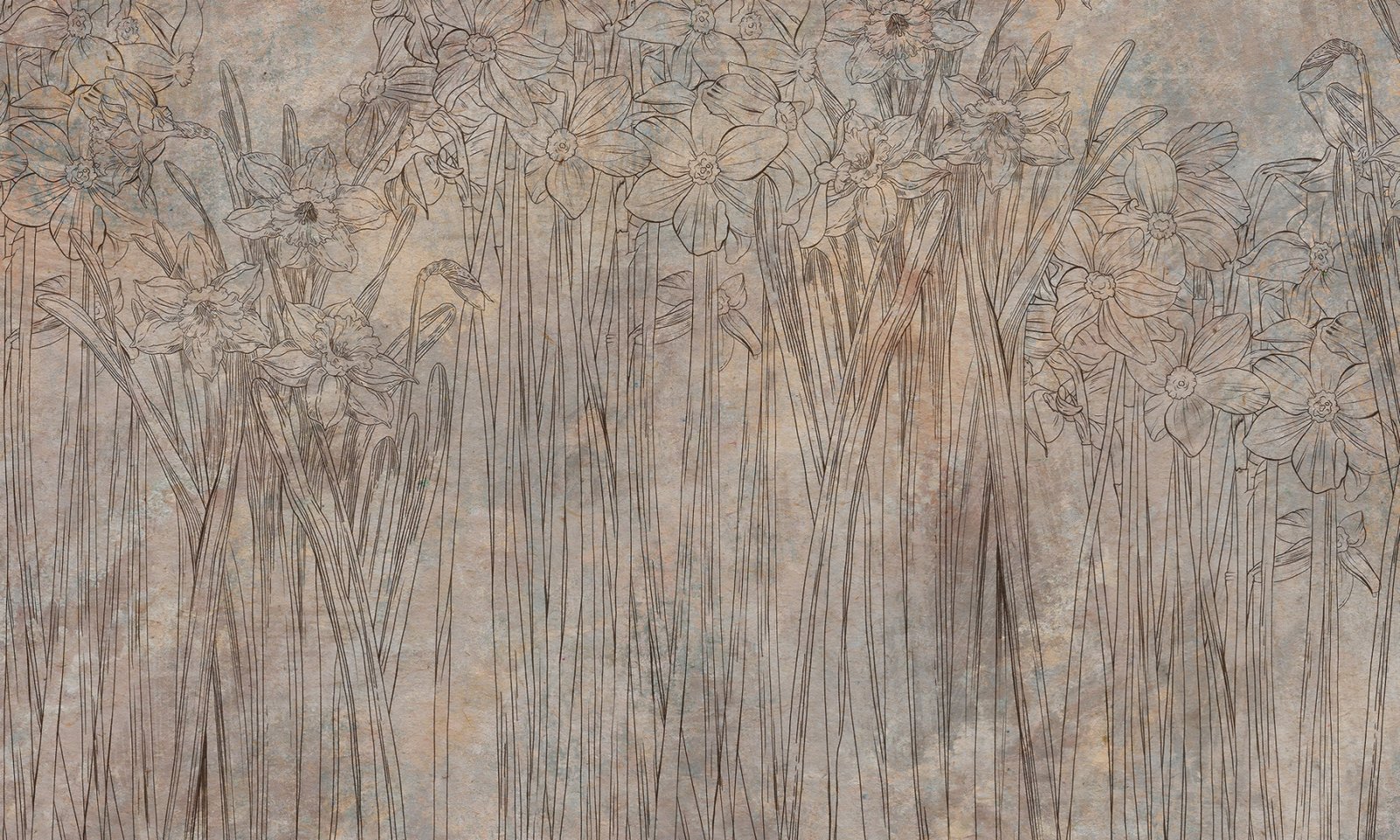Papier peint Daffodil garden