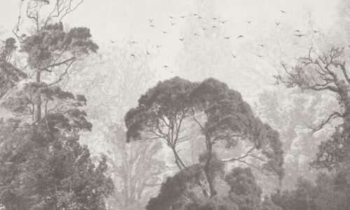 Papier peint Rainforest en gris, noir et blanc avec motifs végétaux