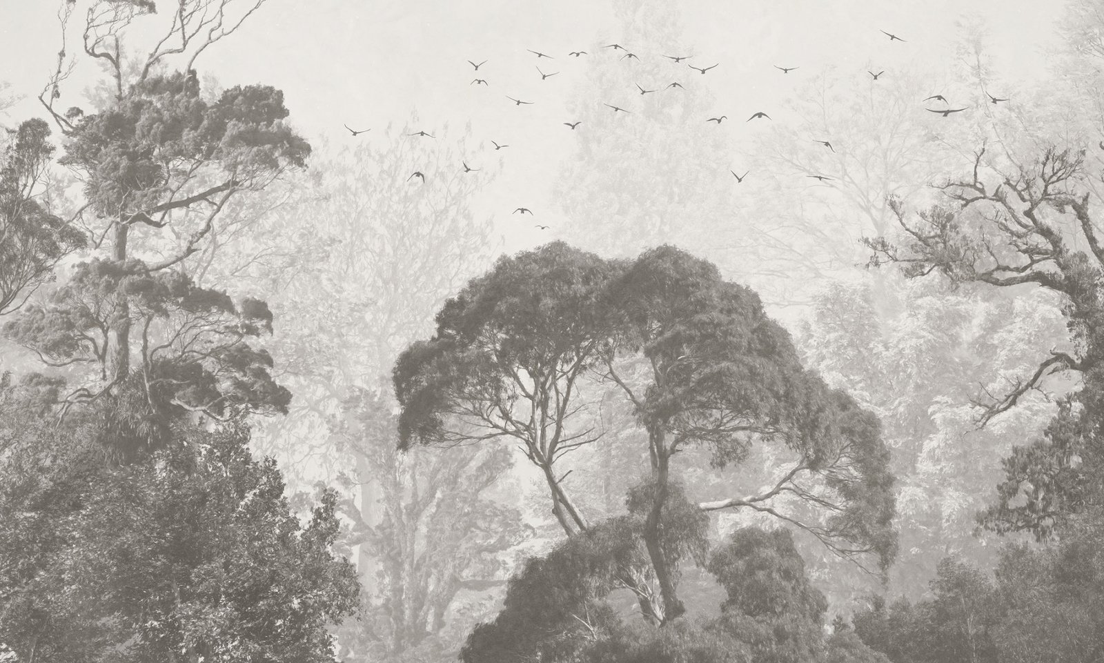 Papier peint Rainforest