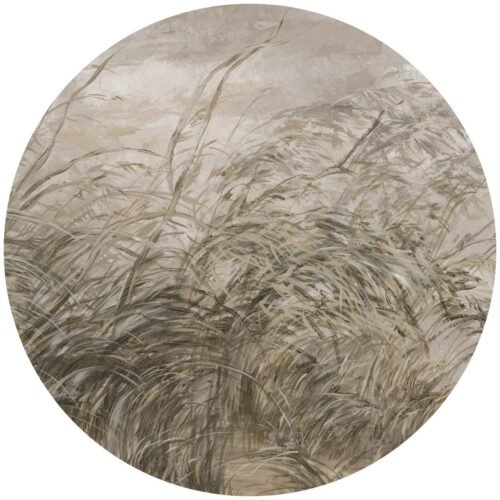 Papier peint cercle Early Dawn, décoration murale personnalisable en trois tailles