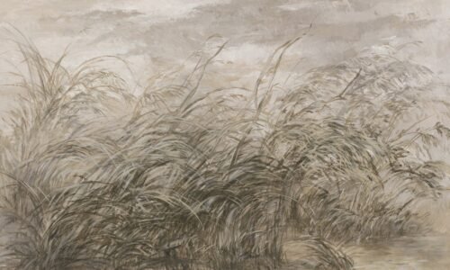 Papier peint Early dawn vert multicolore pour mur