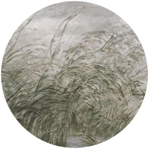 Papier peint cercle Early Dawn 2, décoration murale autocollante ou classique