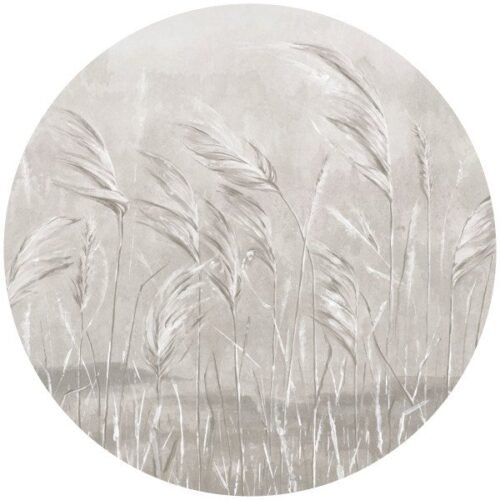 Papier peint cercle Natural Essence sur mur blanc