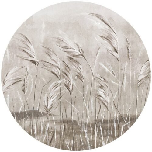 Papier peint cercle Natural Essence 2 sur mur blanc