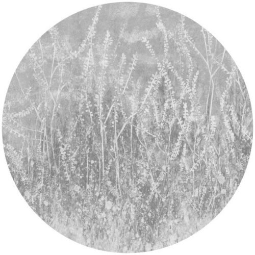 Papier peint cercle Golden Reeds 2, décoration murale géométrique dorée