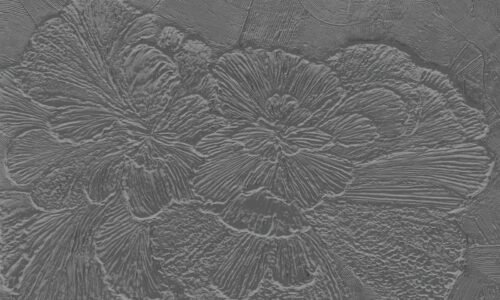 Papier peint Gypsum Petals 3 en gris et noir