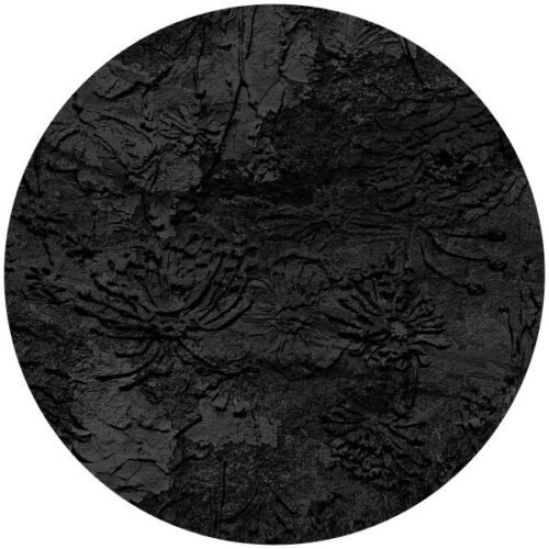 Papier peint cercle Carbon Haze, motif géométrique gris anthracite