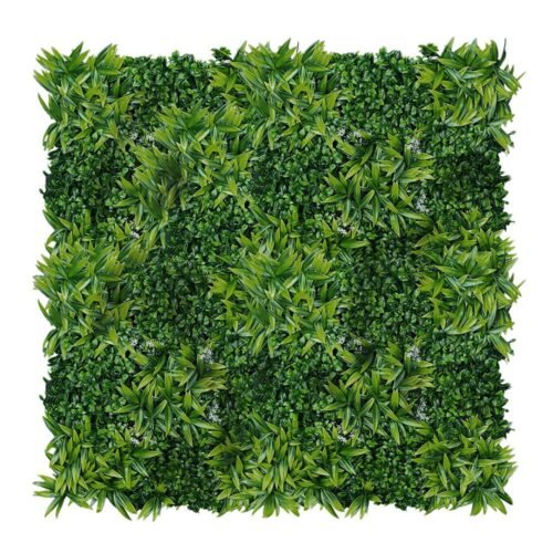 Mur végétal citronnier 50x50 cm en position 2