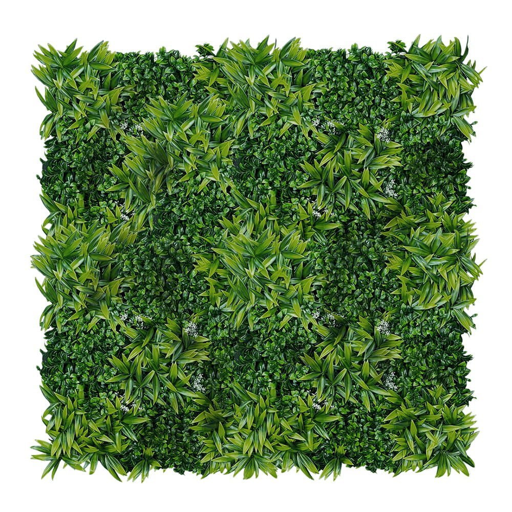 Mur végétal Citronnier 50x50 cm — vue ambiance