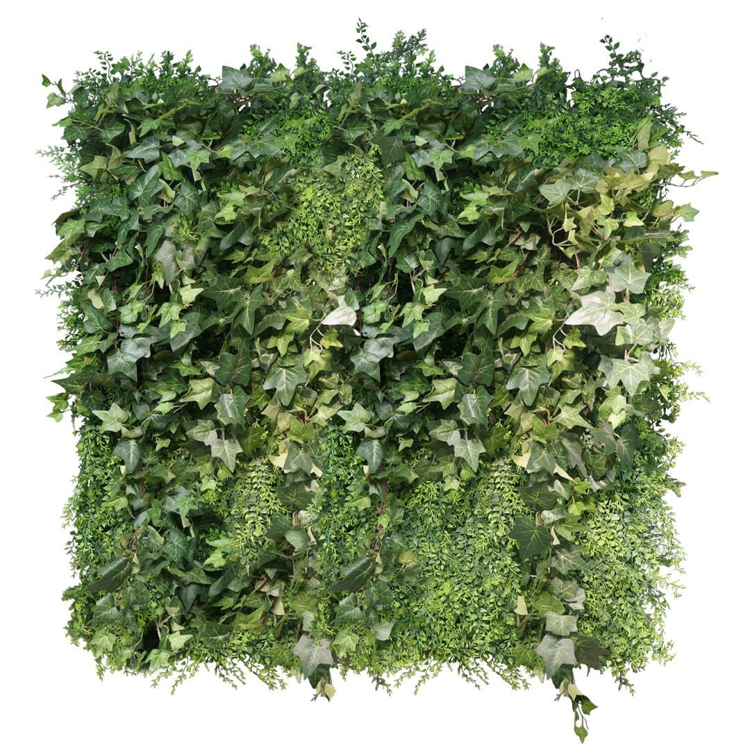 Espace vert jardin vertical — vue ambiance