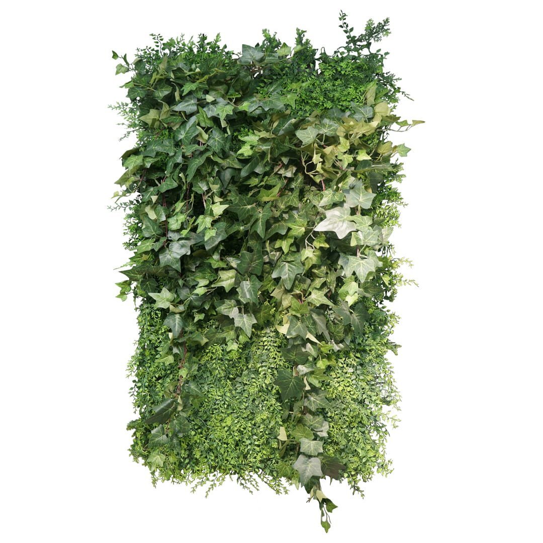 Espace vert jardin vertical