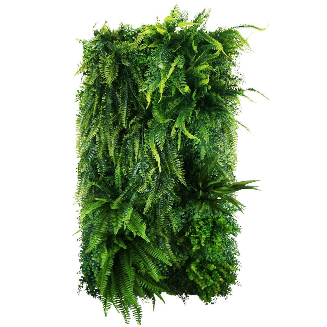 Jardin vertical Easy Fern