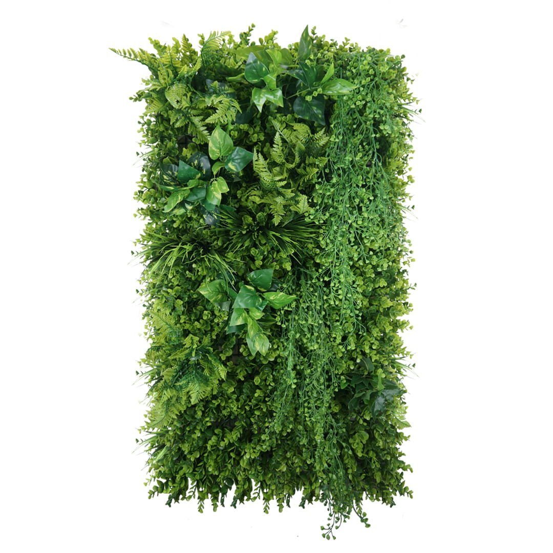 Jardin Vertical Sauvage Vert