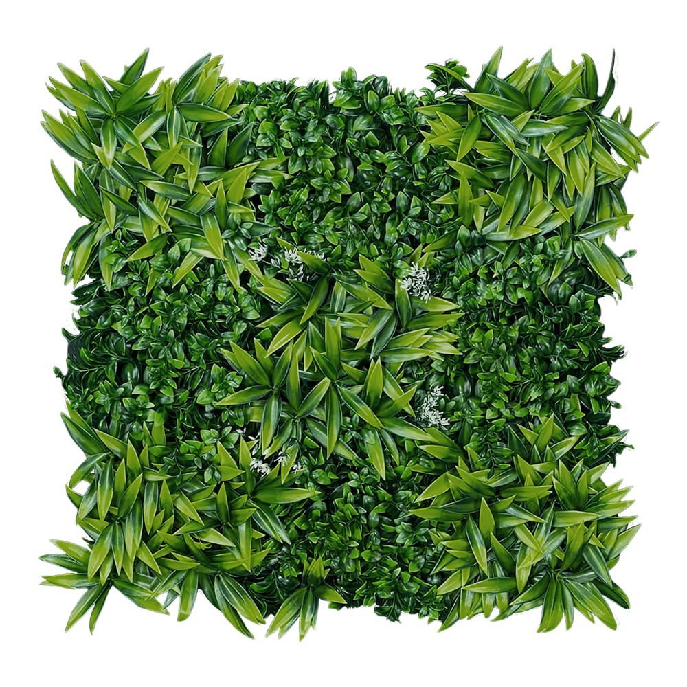Mur végétal Citronnier 50x50 cm