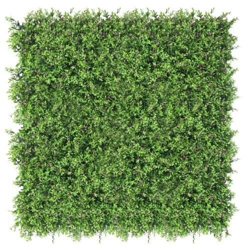 Mur vert Fumaria 50x50 cm en décoration végétale naturelle