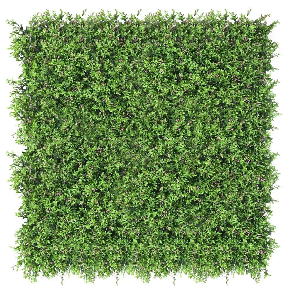 Mur vert Fumaria 50x50 cm — vue ambiance