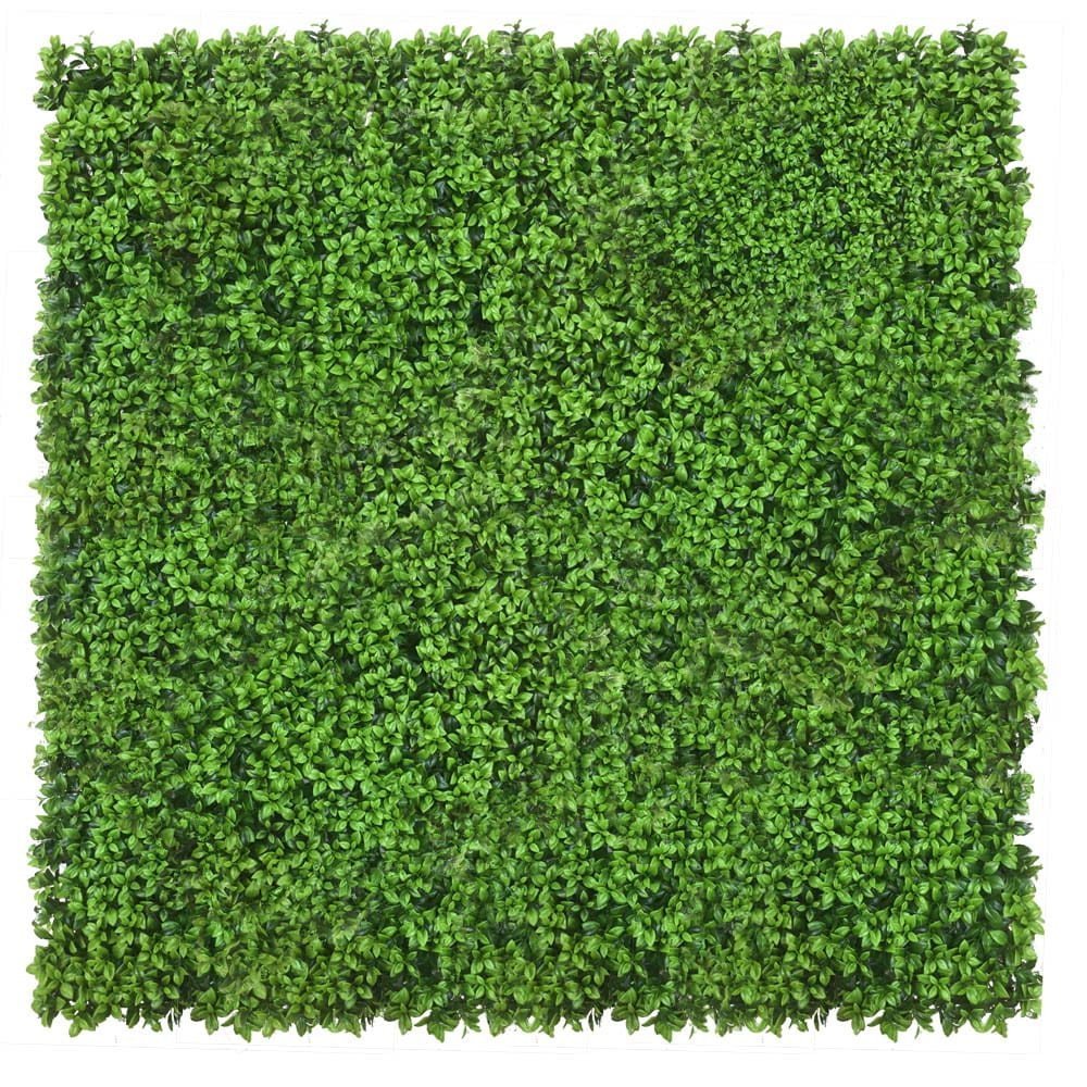 Mur végétal Lebiodka 50x50 — vue ambiance